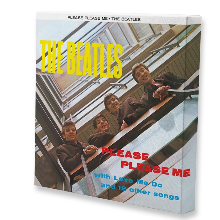 Принти на полотні The Beatles - Please Please Me