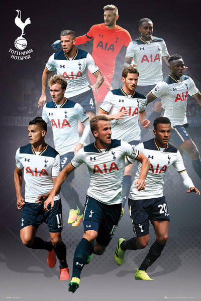 Плакат Tottenham - Players 16/17