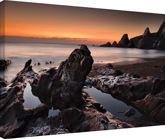 Canvas Print David Clapp - Westcombe Bay, Devon
