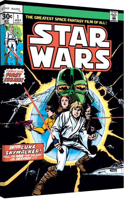 Принти на полотні Star Wars - Enter Luke Skywalker