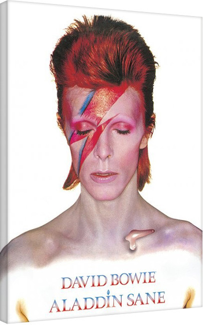 Canvas Print David Bowie - Aladdin Sane