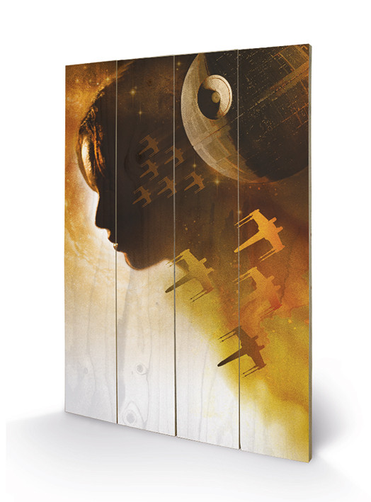 Ξύλινη τέχνη Rogue One: Star Wars Story - Jyn Silhouette