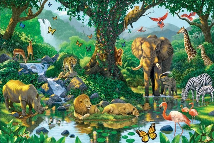 Плакат Harmony - jungle