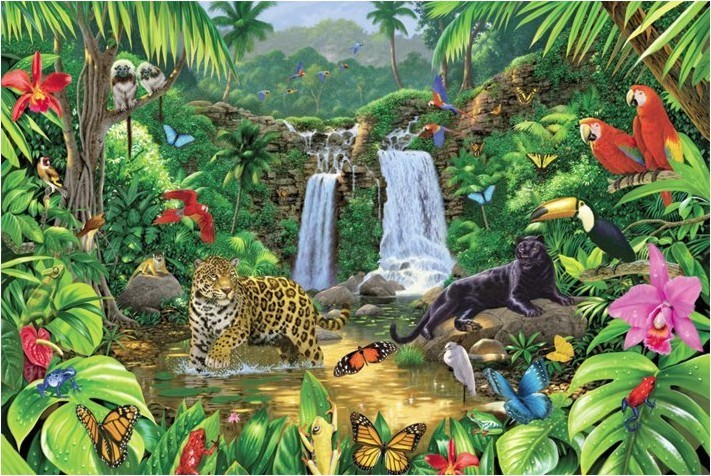 Плакат Harmony - rainforest