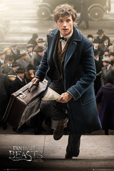 Poster Fantastic Beasts  - Newt Scamander