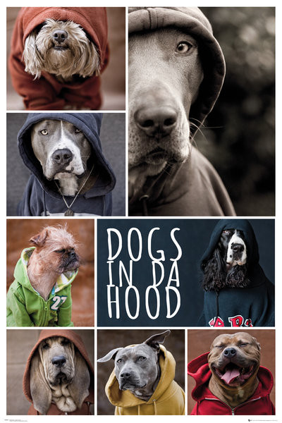 Плакат Dogs In Da Hood - Dogs