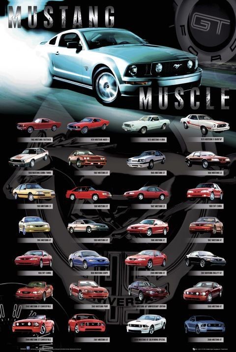 Poster Ford - Mustang comp
