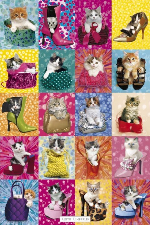 Плакат Keith Kimberlin – cat collage