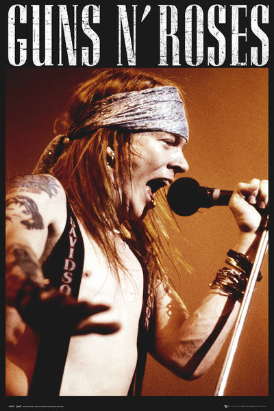 Poster Guns'N'Roses - Axel | Wall Art | 3+1 FREE | Europosters