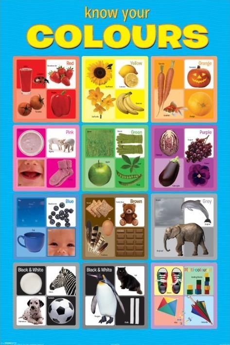 Плакат Know your colours