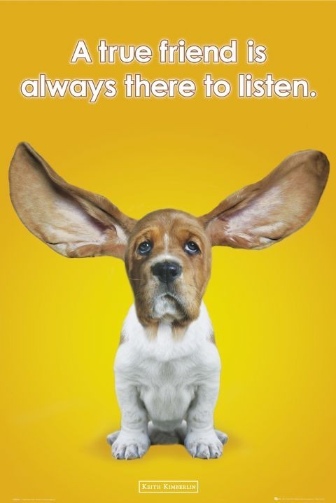 Плакат Keith Kimberlin - ears