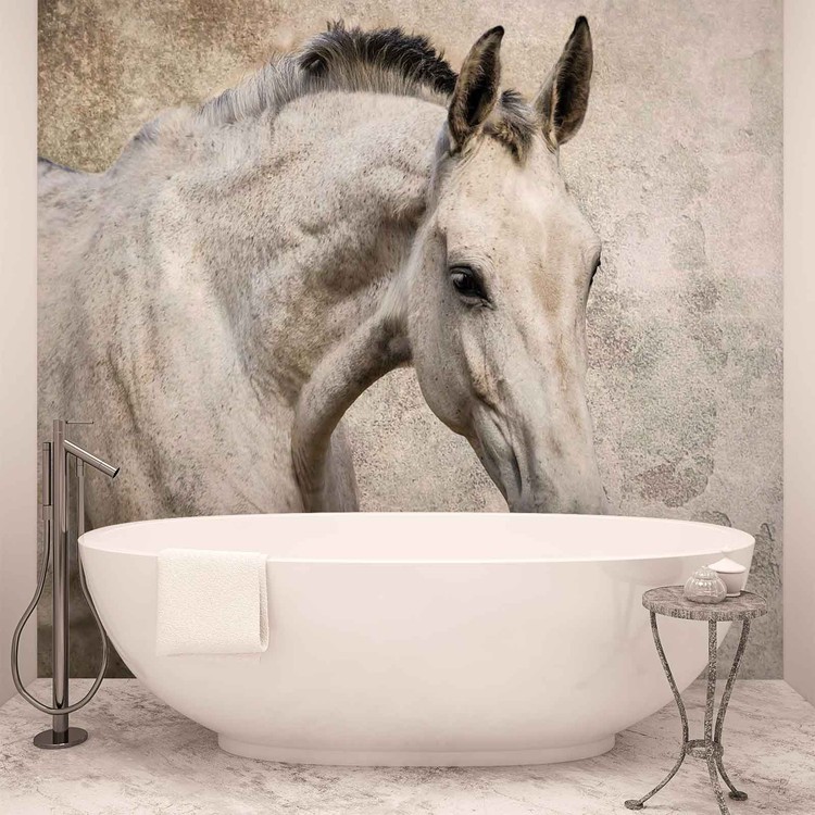 Horse Pony Wallpaper Mural