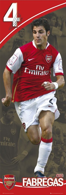 Плакат Arsenal - fabregas 07/08