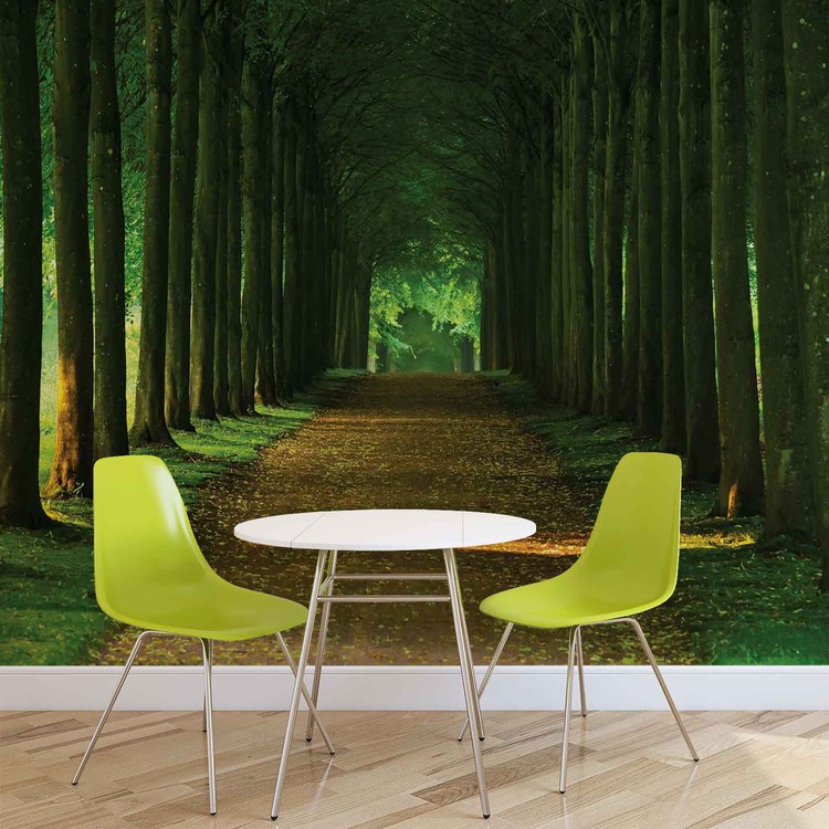 Path Trees Forest Nature Wallpaper Mural