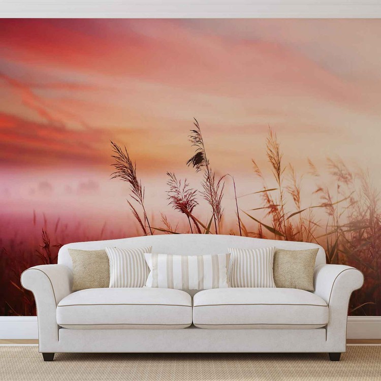 Field Sunset Sunrise Wallpaper Mural