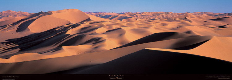 Sahara Картина