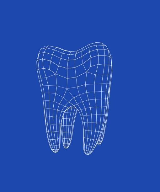 Sticker 3D molar tooth