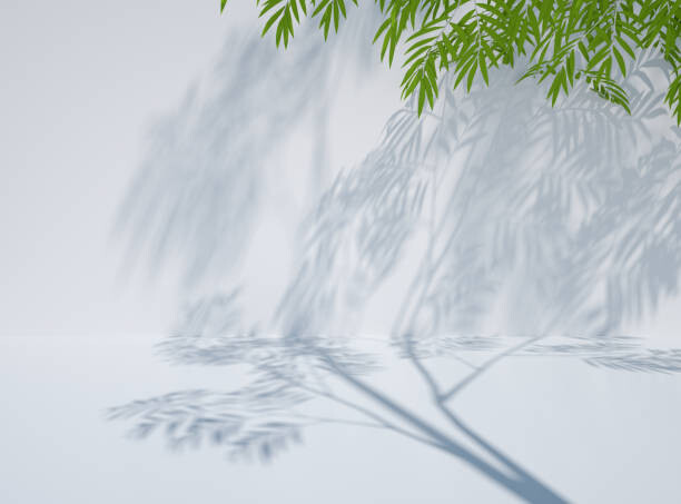 Μπλουζάκι 3D rendering exhibition background