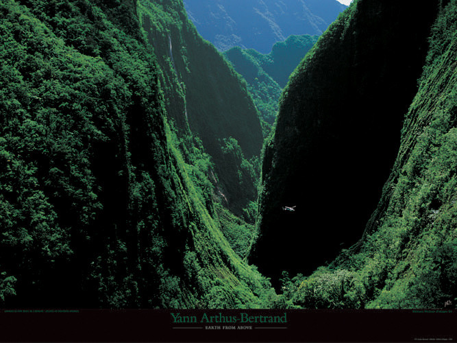 Gorges du Bras de Caverne - ile de la Réunion Картина