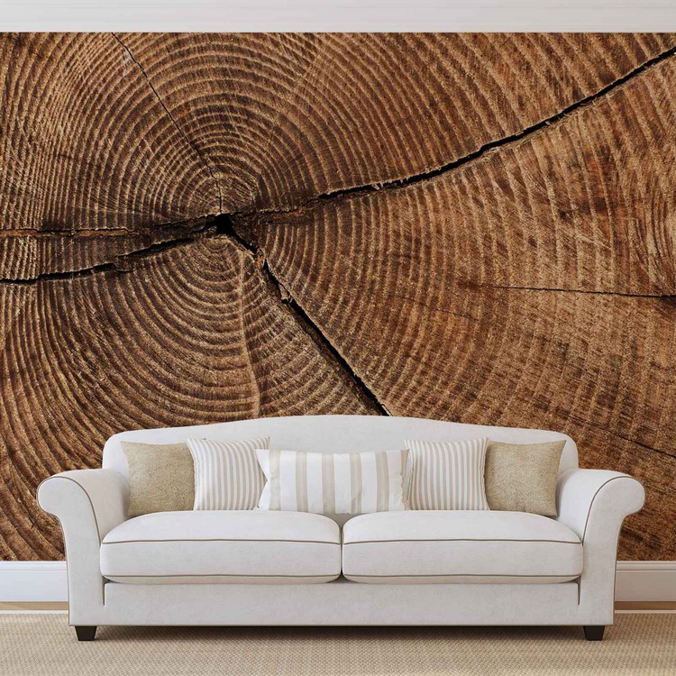 Wall Mural Tree Stump Rings