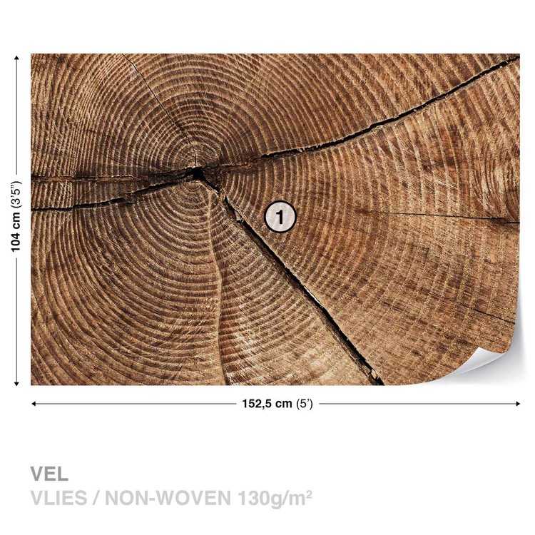 Tree Stump Rings Mural Tree Stump Rings Wall Mural | Buy online at Europosters