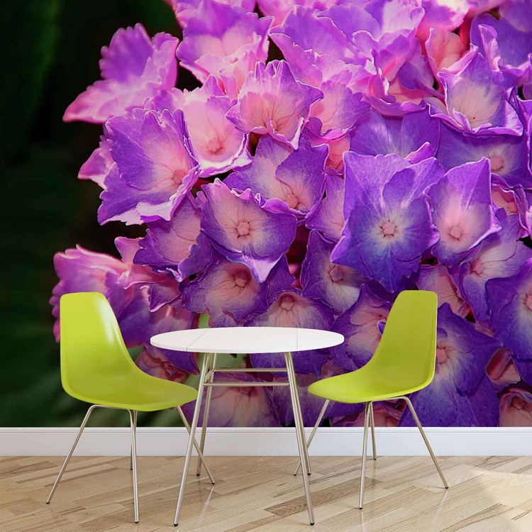 Ταπετσαρία Flowers Hydrangea Purple