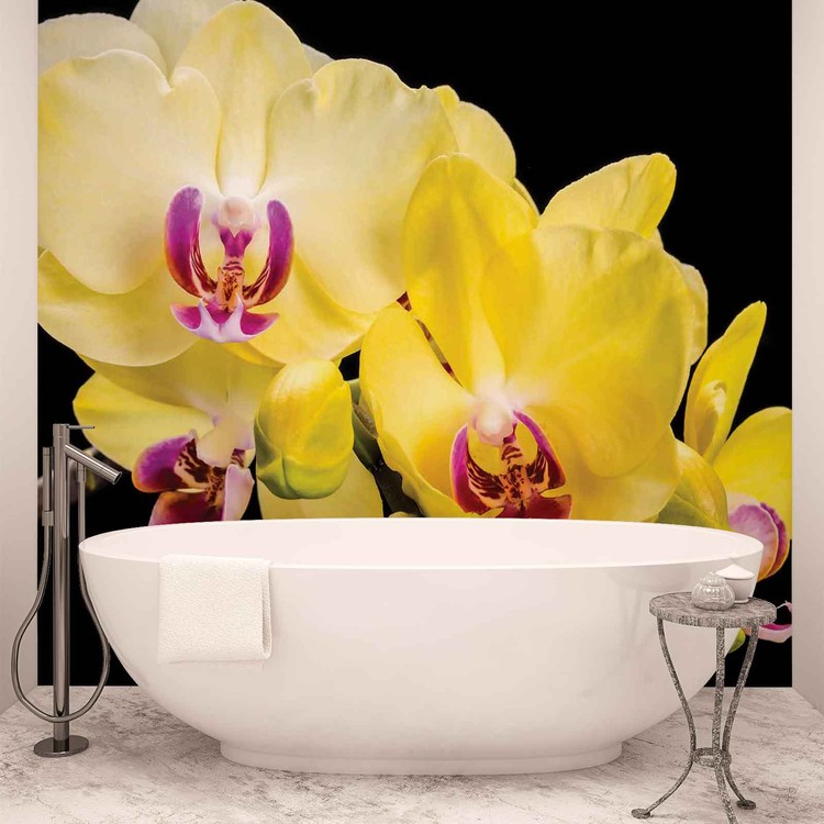 Orchid Flowers Wallpaper Mural