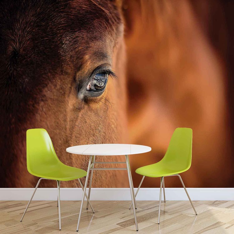 Wall Mural Horse Pony