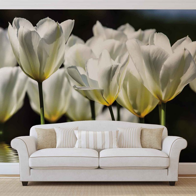 Valokuvatapetti Tulipanes de flores