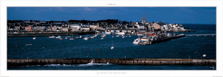 Le port de Roscoff Картина