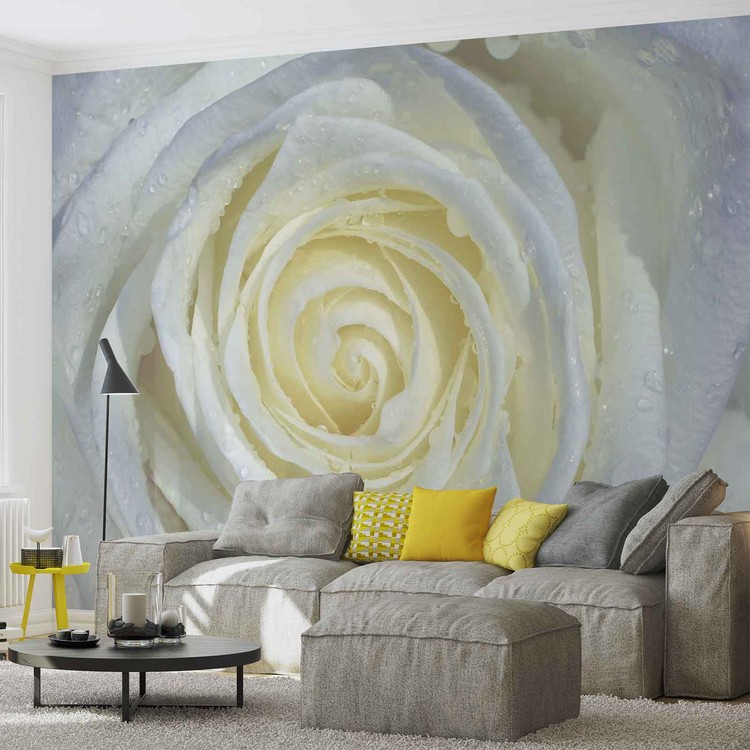 Rose Flower White Wall Mural | Buy online at Europosters