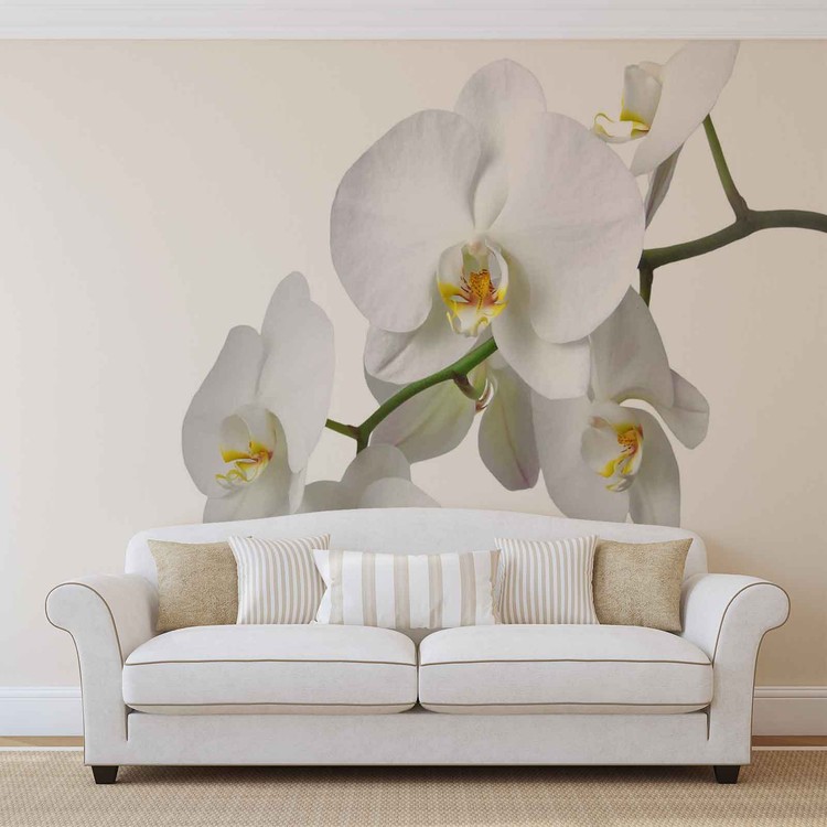 Ταπετσαρία Blumen Orchideen Natur Weiß