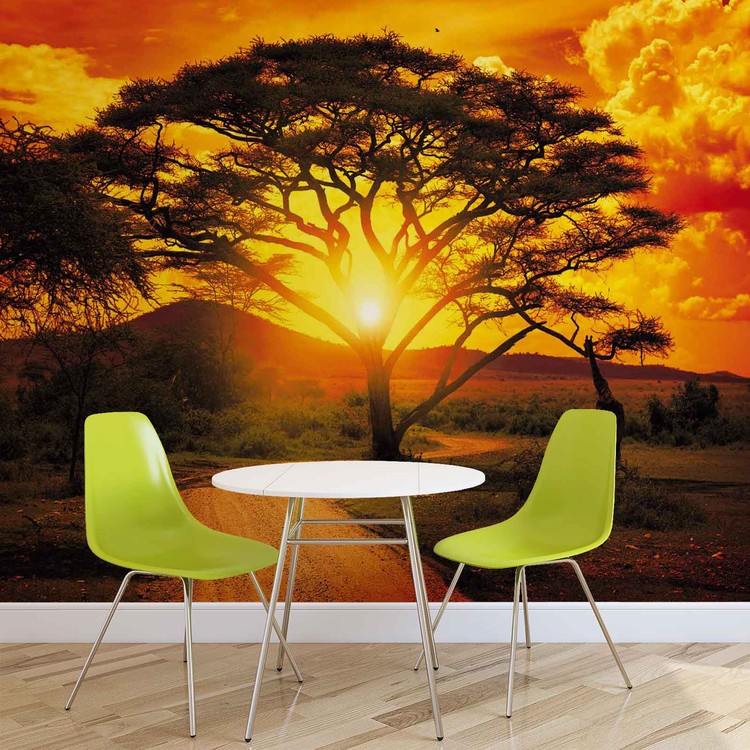 Sunset Africa Nature Tree Wallpaper Mural
