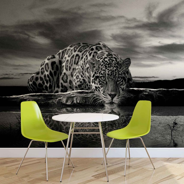 Leopard Feline Reflection Black Wallpaper Mural