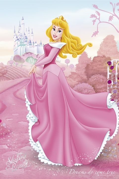 Плакат DISNEY PRINCEZNY - šípková růženka