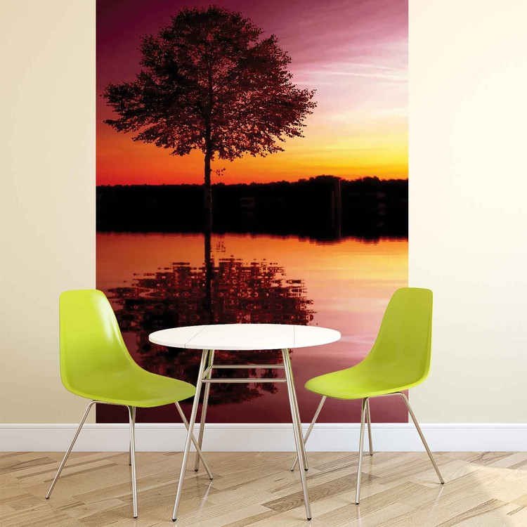 Wall Mural Tree Lake Reflection Sunset Nature