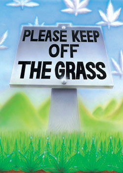Плакат Keep of the grass