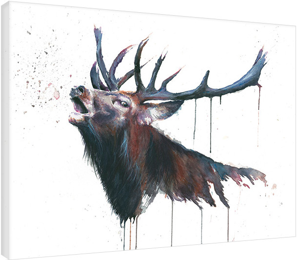 Canvas Print Sarah Stokes - Roar