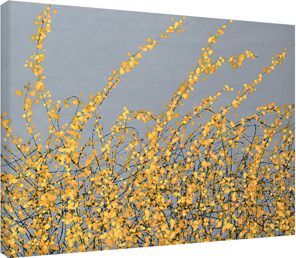 Принти на полотні Simon Fairless - Yellow Blossom