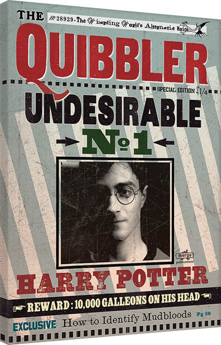 Принти на полотні Harry Potter - Quibbler