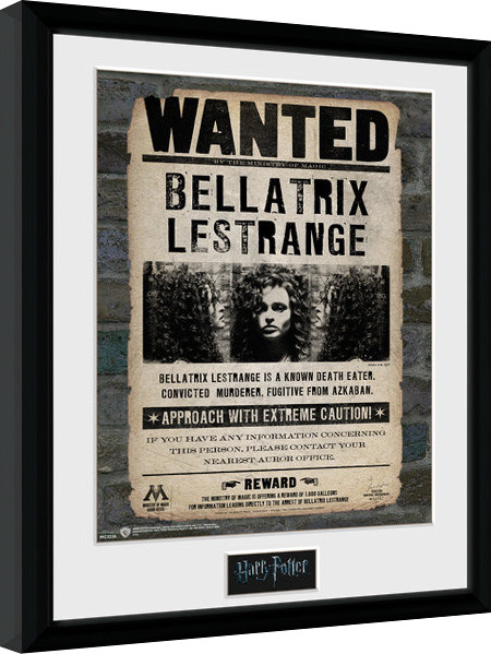 Poster emoldurado Harry Potter - Bellatrix