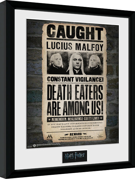 Uokvireni poster Harry Potter - Lucius