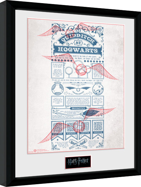 Poster emoldurado Harry Potter - Quidditch at Hogwarts