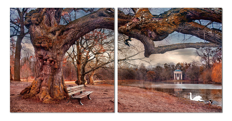 Walk autumn park Mounted Art Print