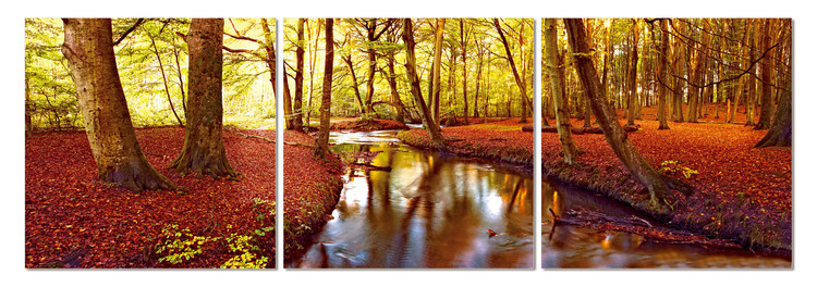 Τοποθετημένη εκτύπωση έργου τέχνης Autumn romance in the park