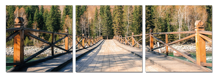 The path into the woods Mounted Art Print