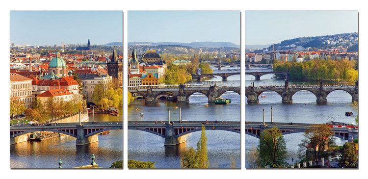 Mодерна картина Prague view from Letná