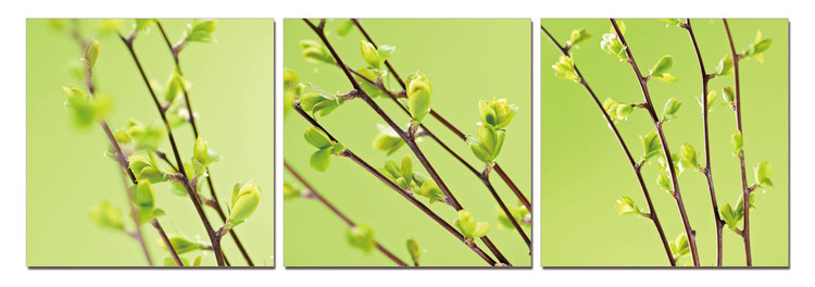 Twigs on green canvas Mounted Art Print