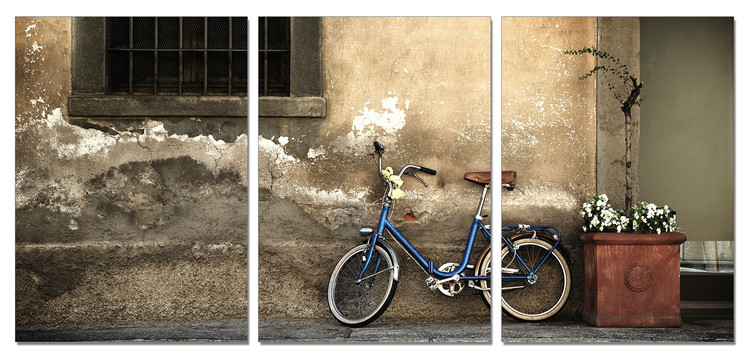 Still life with old bicycle Mounted Art Print