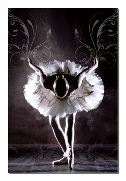 Mодерна картина Black & White Ballerina